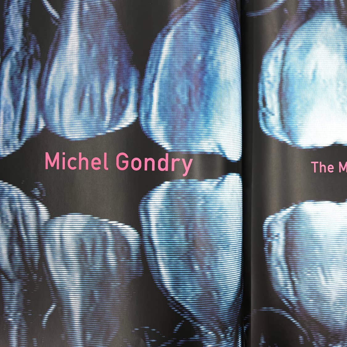 Björk Post Book (1995) 비요크 상품이미지5