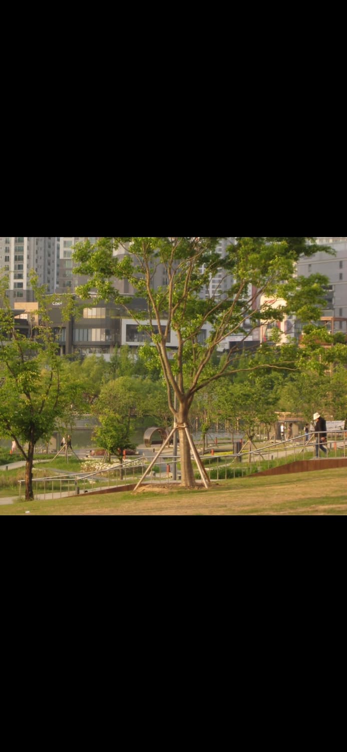 필름색감&강추!) Canon IXUS 80 IS디카 카메라 상품이미지5