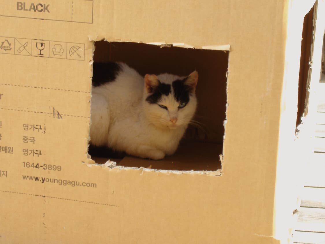 무료배송) 후지필름 파인픽스 A370 빈티지 디카 상품이미지10