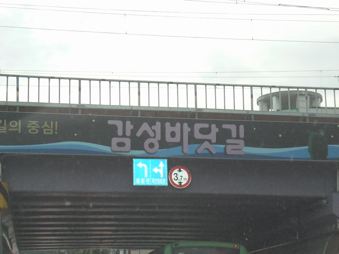(한글/레어) 리코 카프리오 R5 디카 상품이미지7