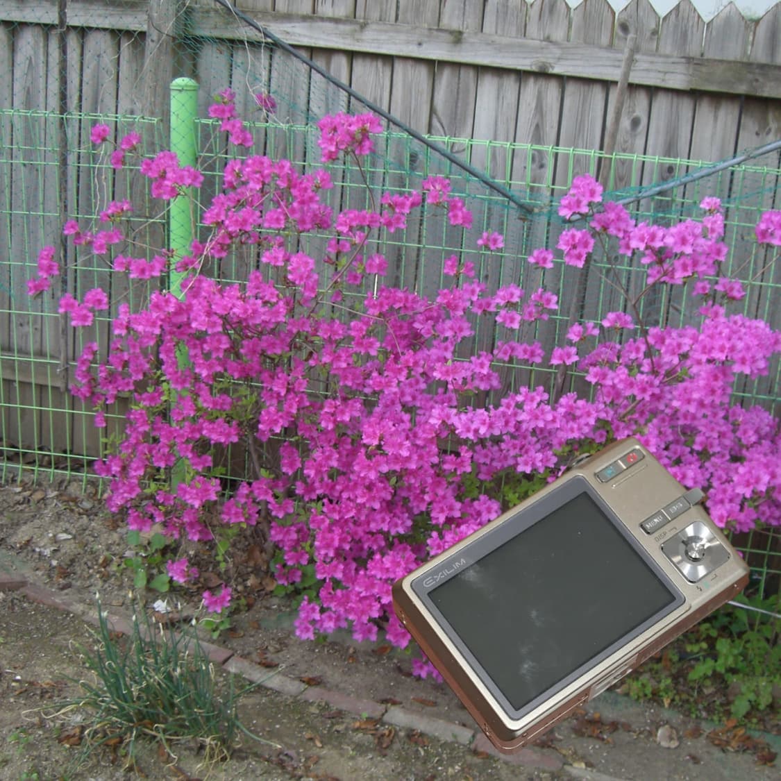 Casio EX-Z500 (✨A급/🎁풀패키지) 상품이미지5