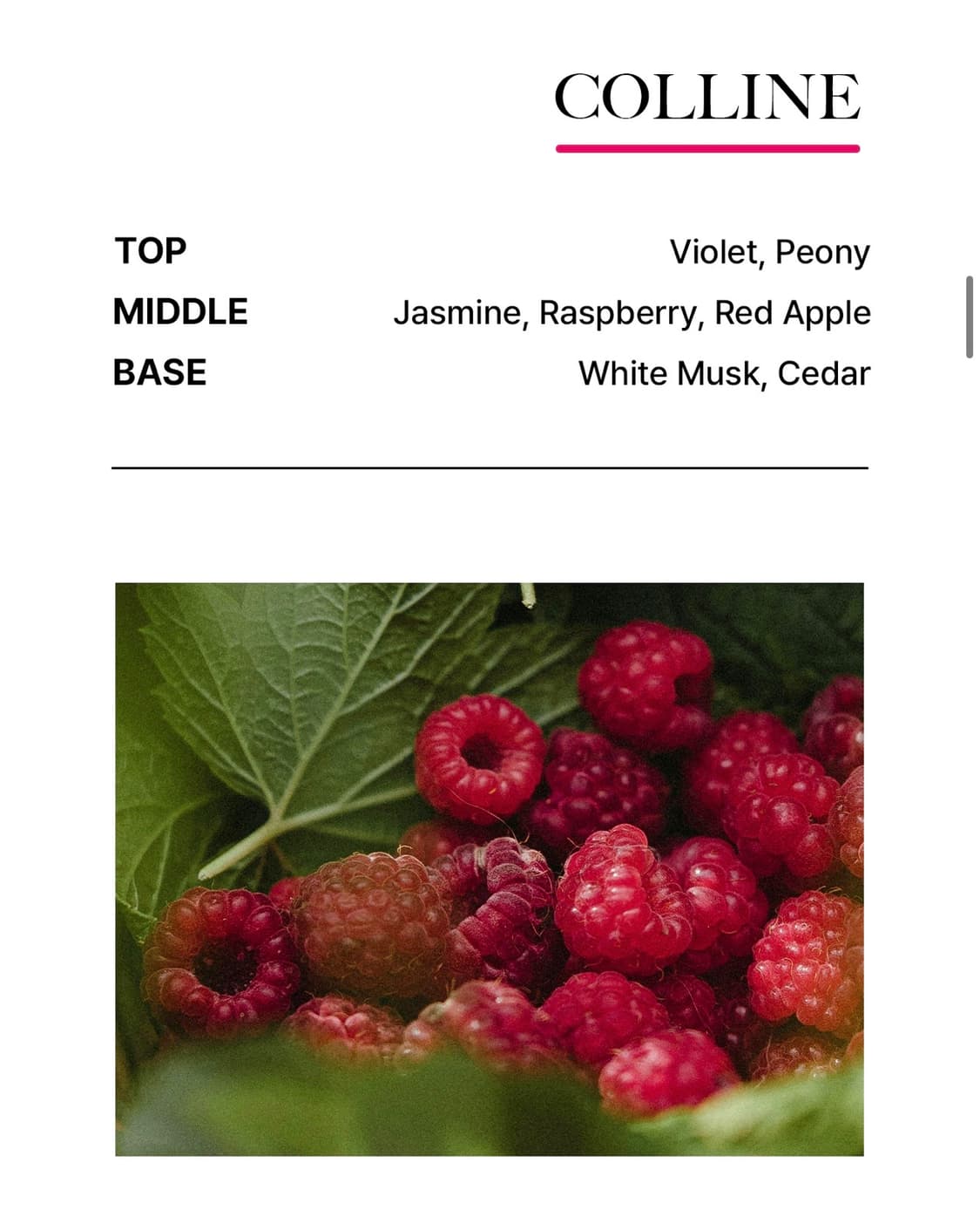 비비앙 콜린 50ml 상품이미지2