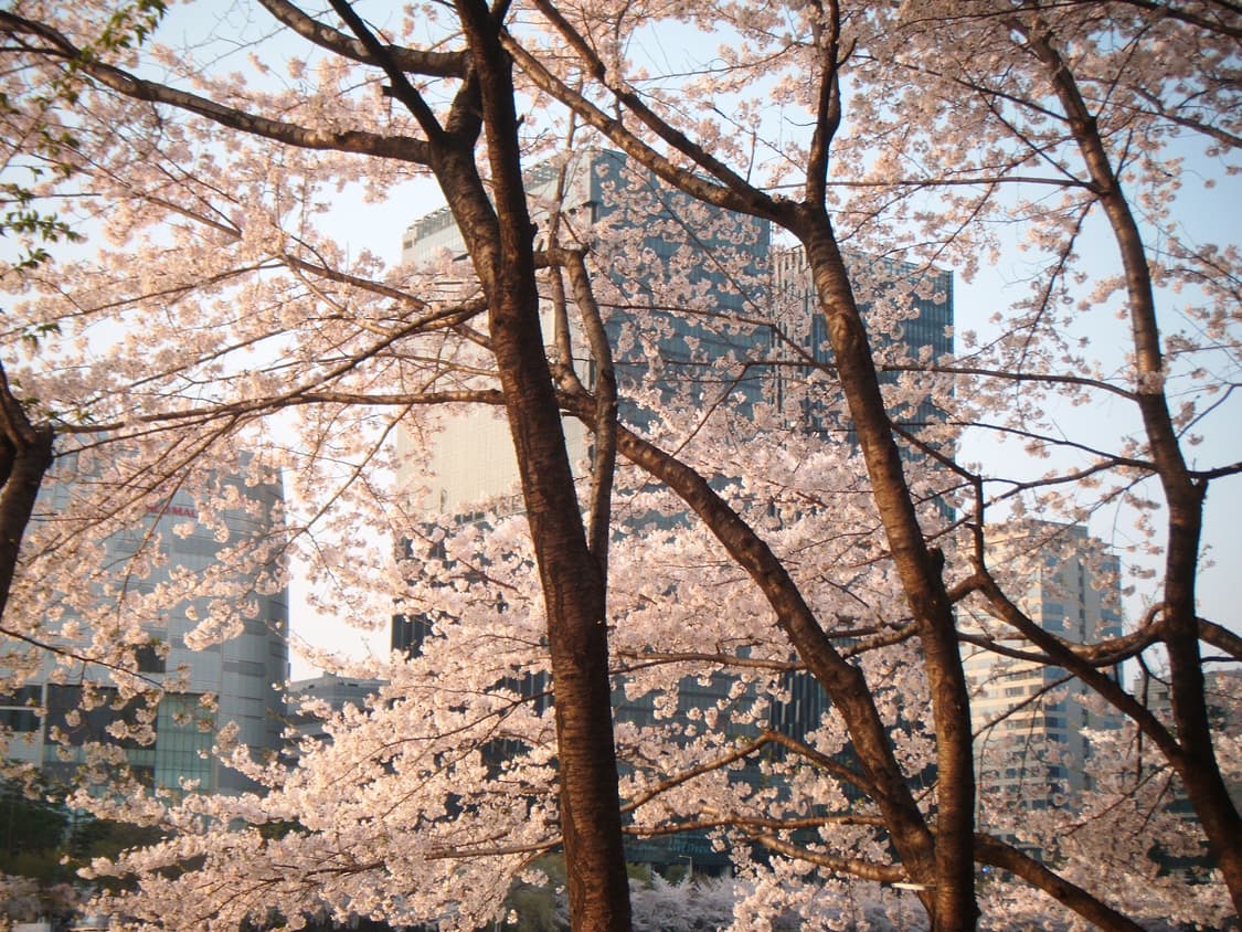 원희디카&강추!) FujiFilm Finepix F60 카메라 상품이미지4