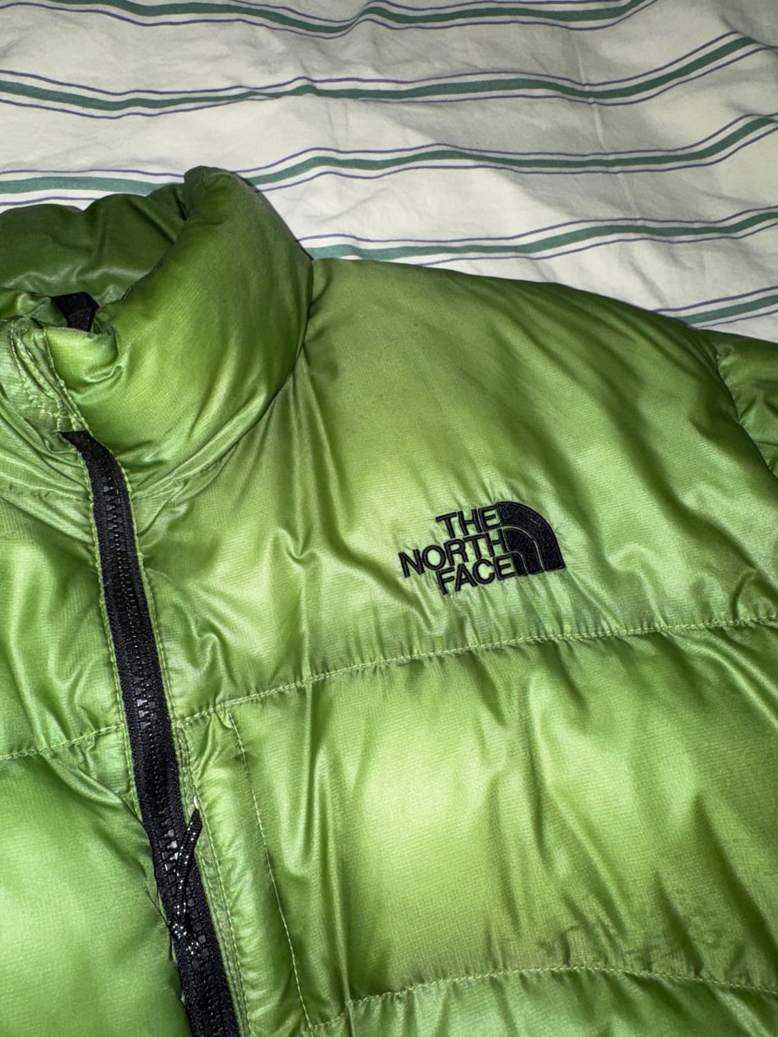 [105] 00s 노스페이스 아콘카구아 게코그린 상품이미지2