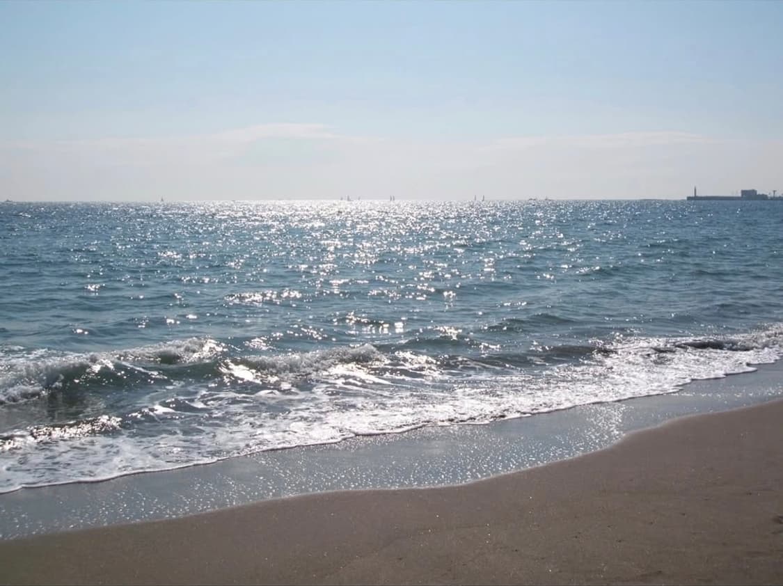 후지필름 파인픽스 Z800EXR ✨ 터치 LCD  감성디카 박스셋 💕 상품이미지8