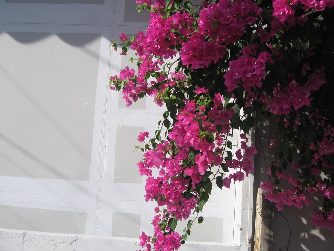 익시700(익서스750)-작례O 상품이미지10