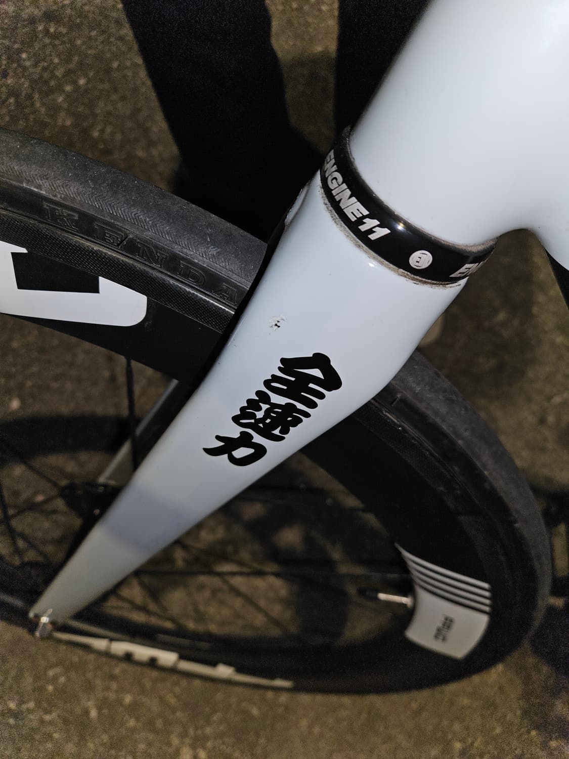 엔진11 크릿디 에그플랜트 상품이미지10