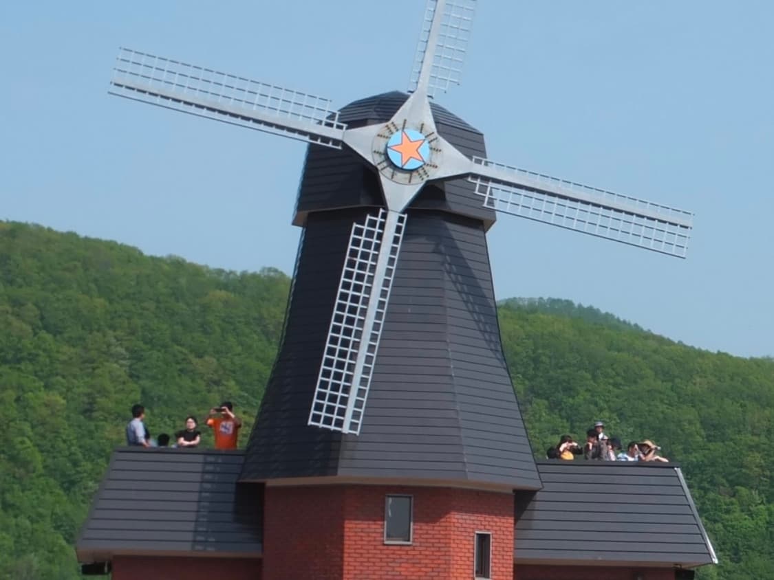 [작례/바로 사용] 리코 WG-5 디카 상품이미지8