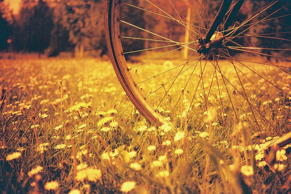 작례O 앤디워홀 카메라 코니카 c35 ef 명작 필름카메라 상품이미지2