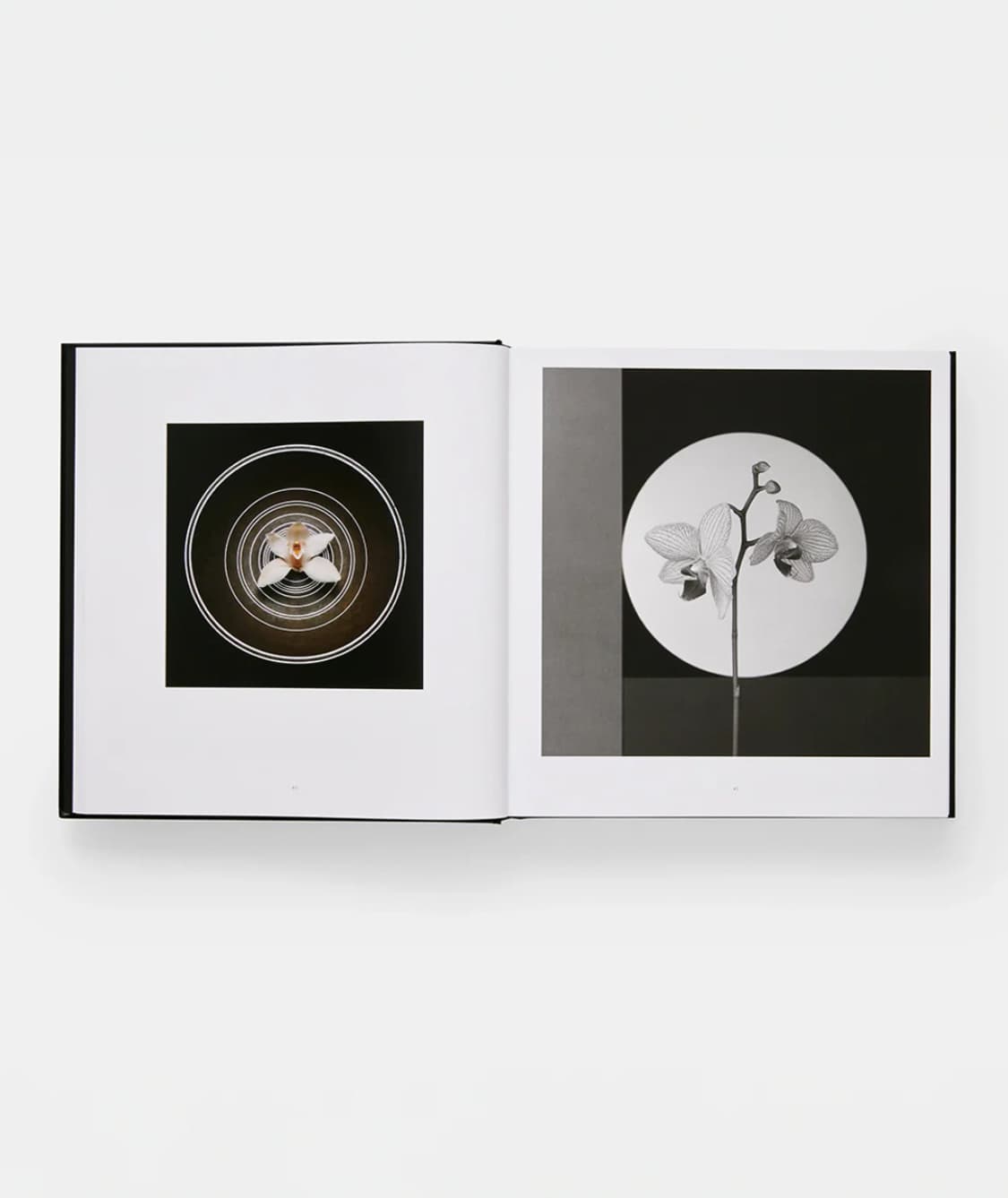 미개봉 / MAPPLETHORPE 로버트 메이플소프 플로라 사진집 상품이미지5