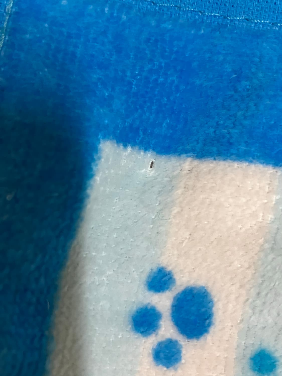 타마앤 프렌즈 타마와 친구들 타올 상품이미지5