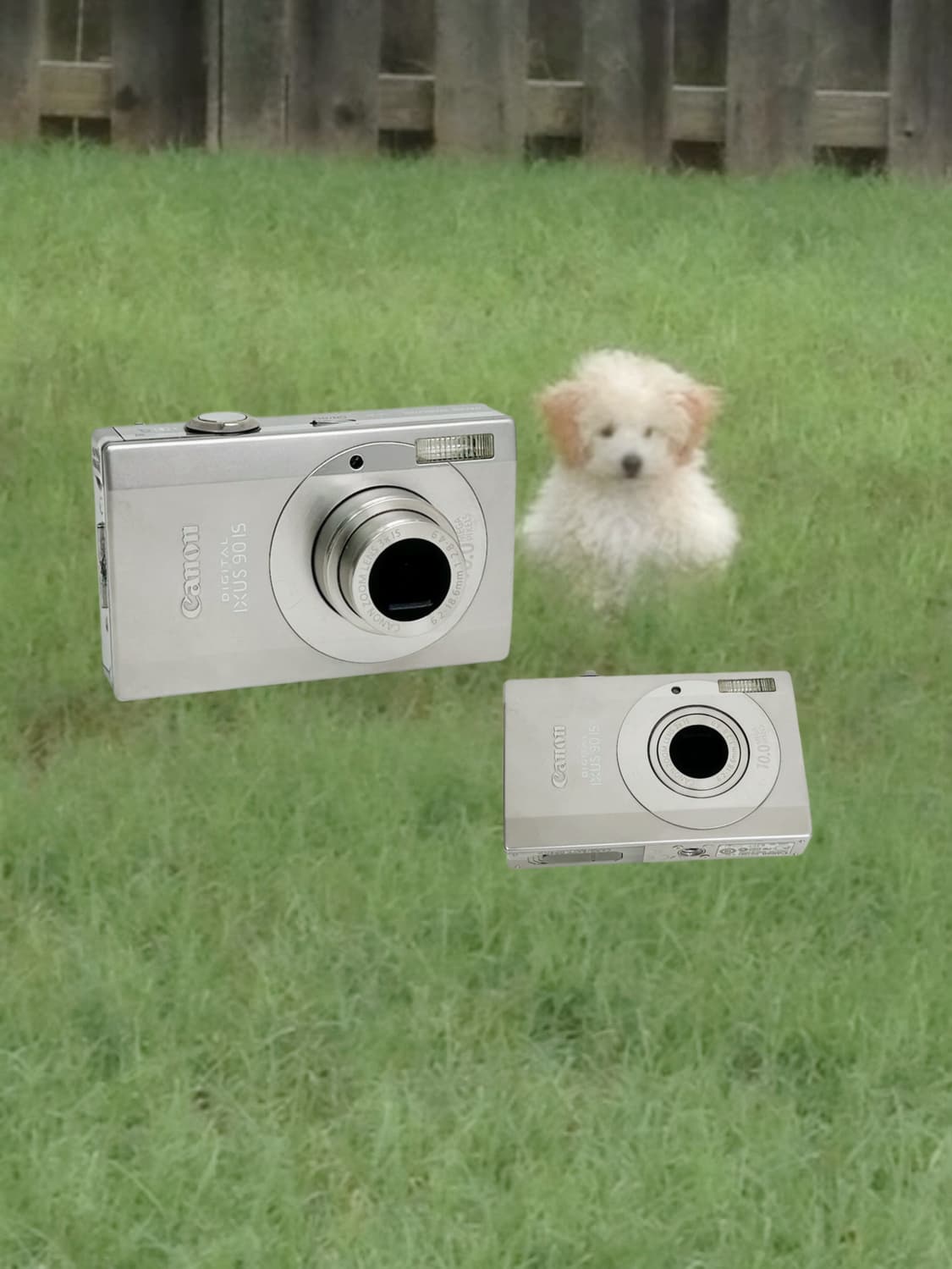 미우미우!) 캐논 익서스 90 Ixus 빈티지 디카 상품이미지1