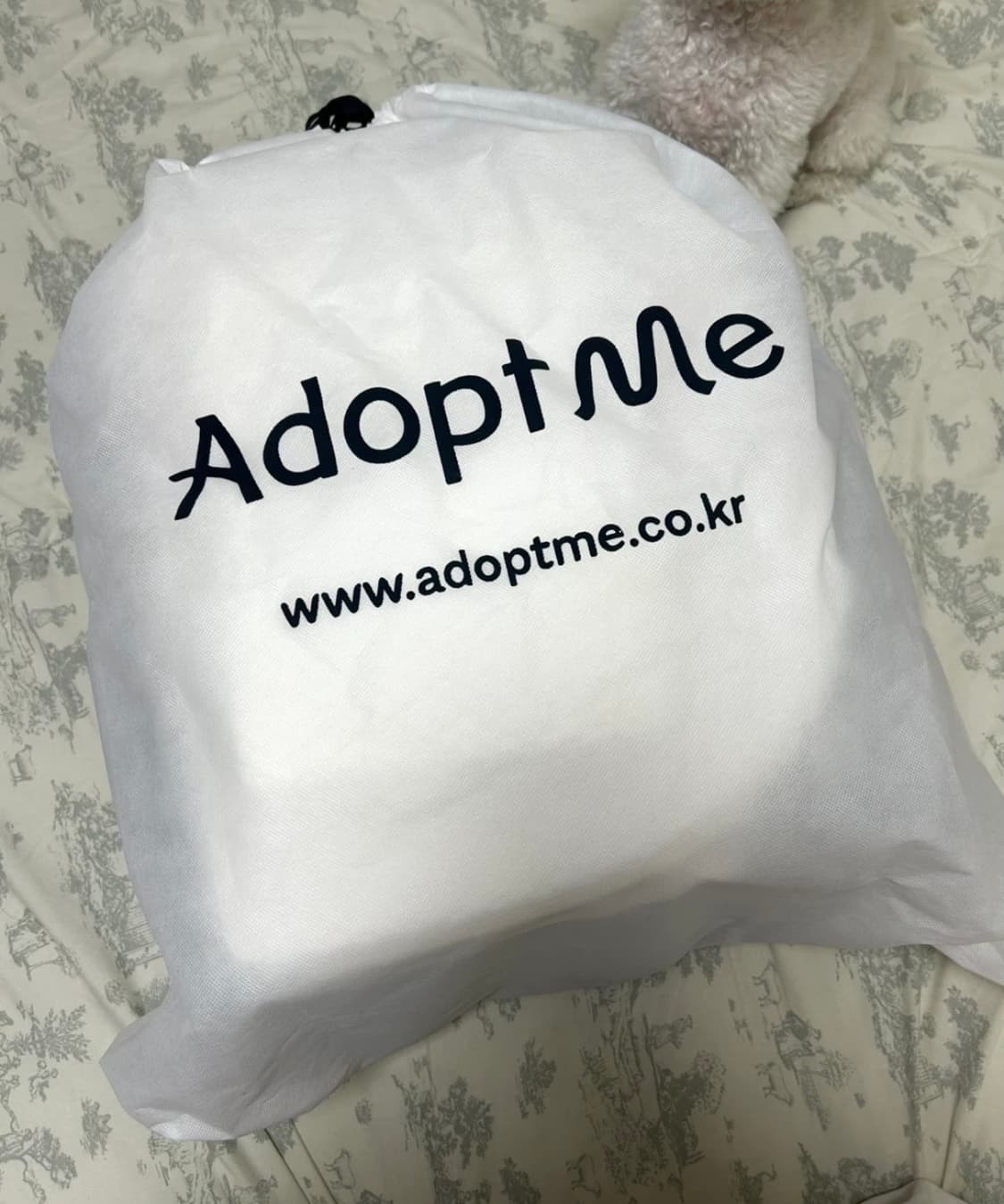 어답트미 강아지 백팩 이동가방 사계절 풀세트 상품이미지4