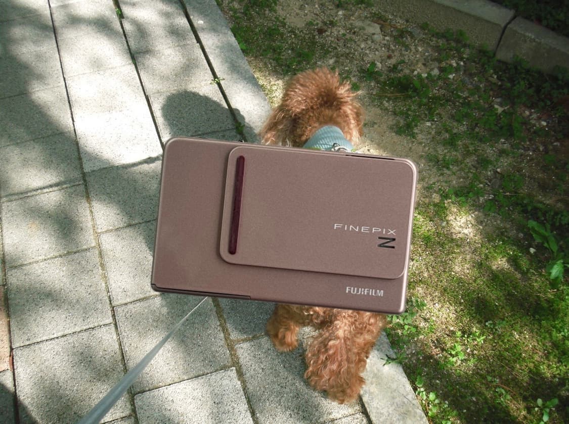 일주일만 할인! 작례 극미품!) 후지필름 파인픽스 z300 빈티지 카메라 상품이미지1