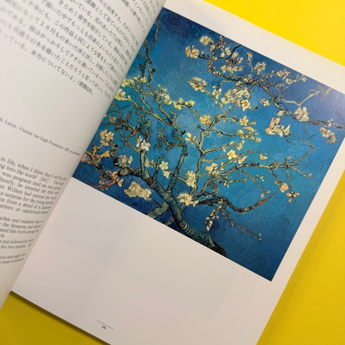 빈센트 반 고흐 도록 Vincent van Gogh 일본 전시회 미술 상품이미지7