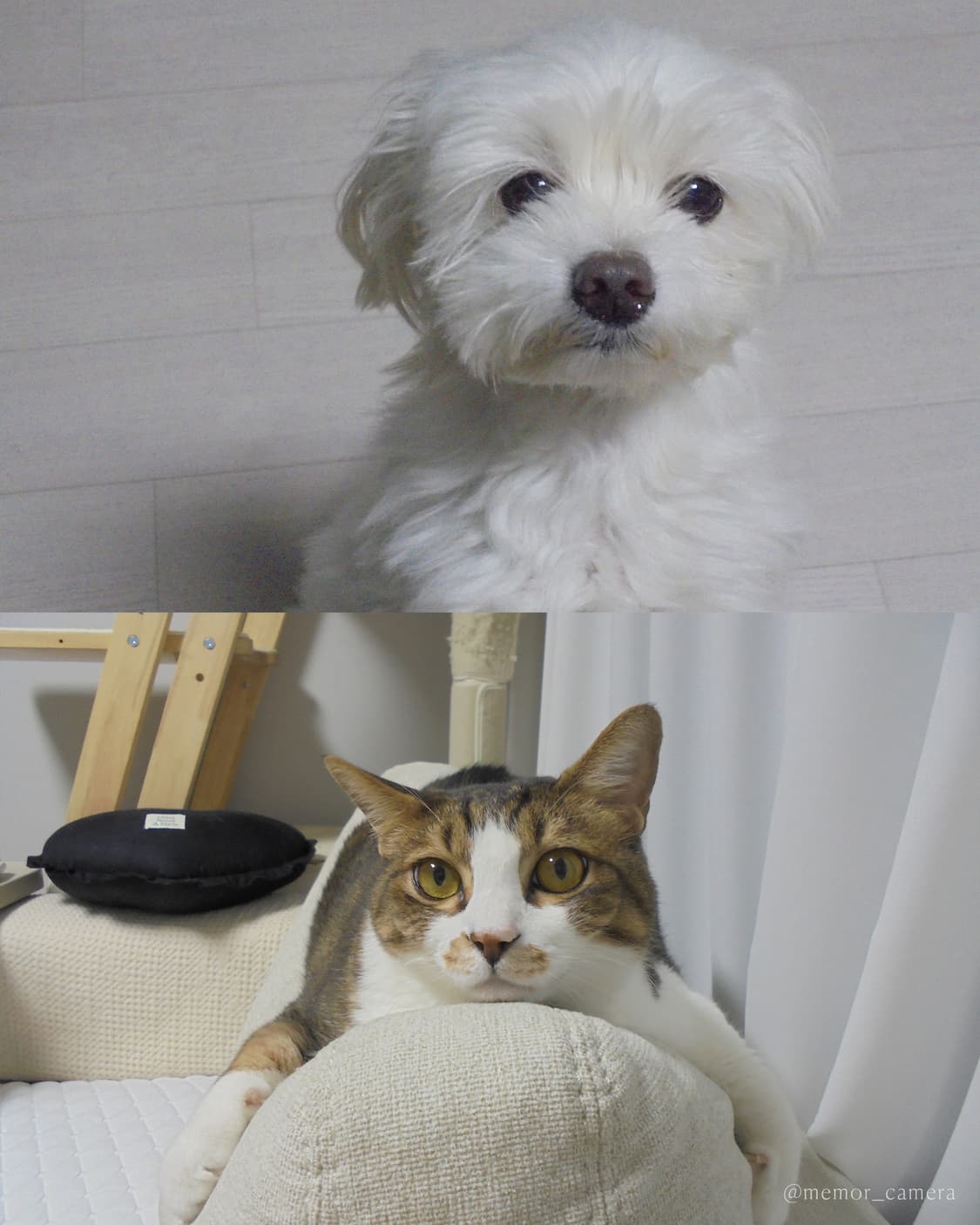 아이브레이픽🪽Sony DSC-W810 소니 디카 빈티지카메라 상품이미지10