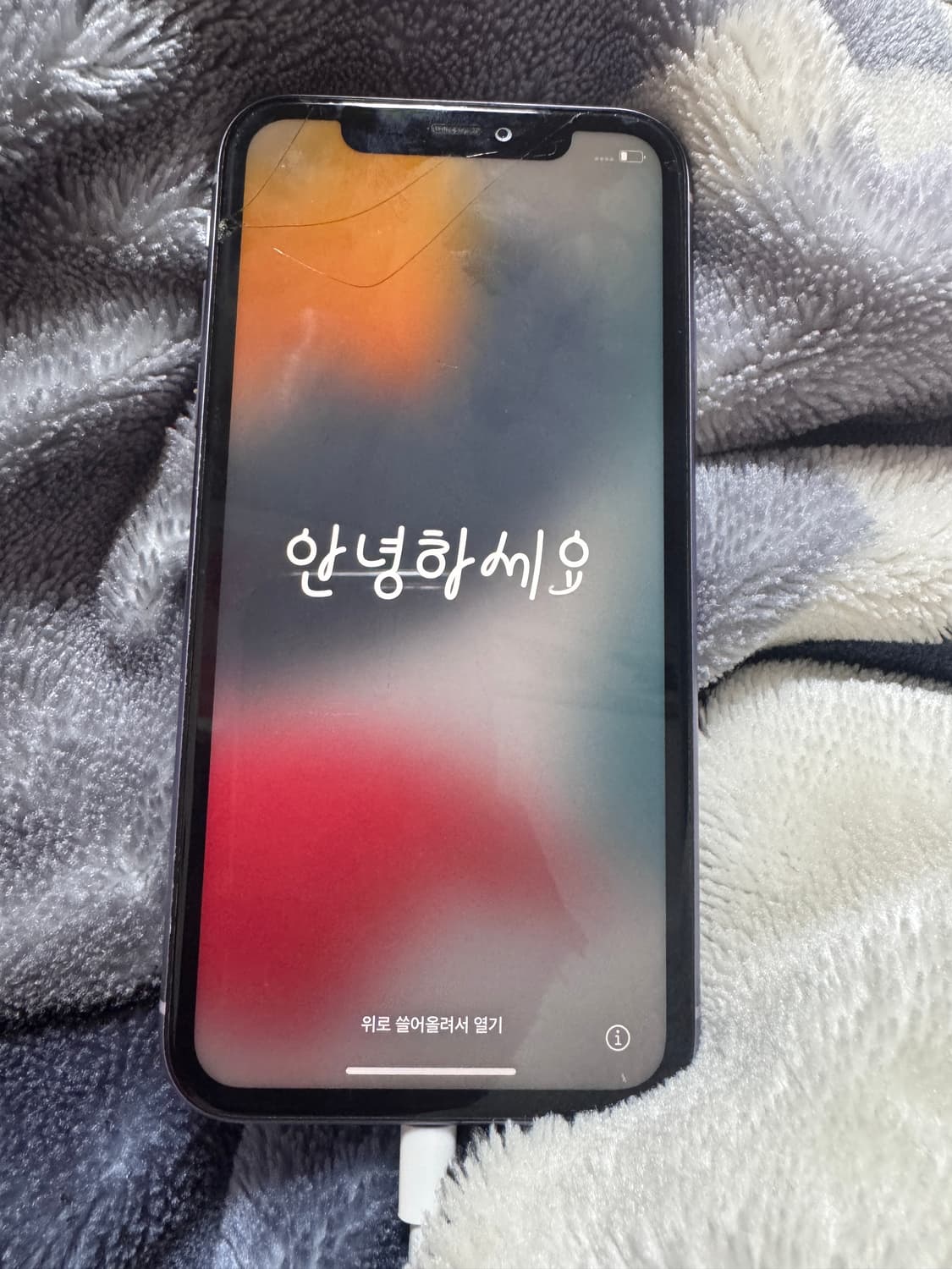 아이폰 11 퍼플 상품이미지2