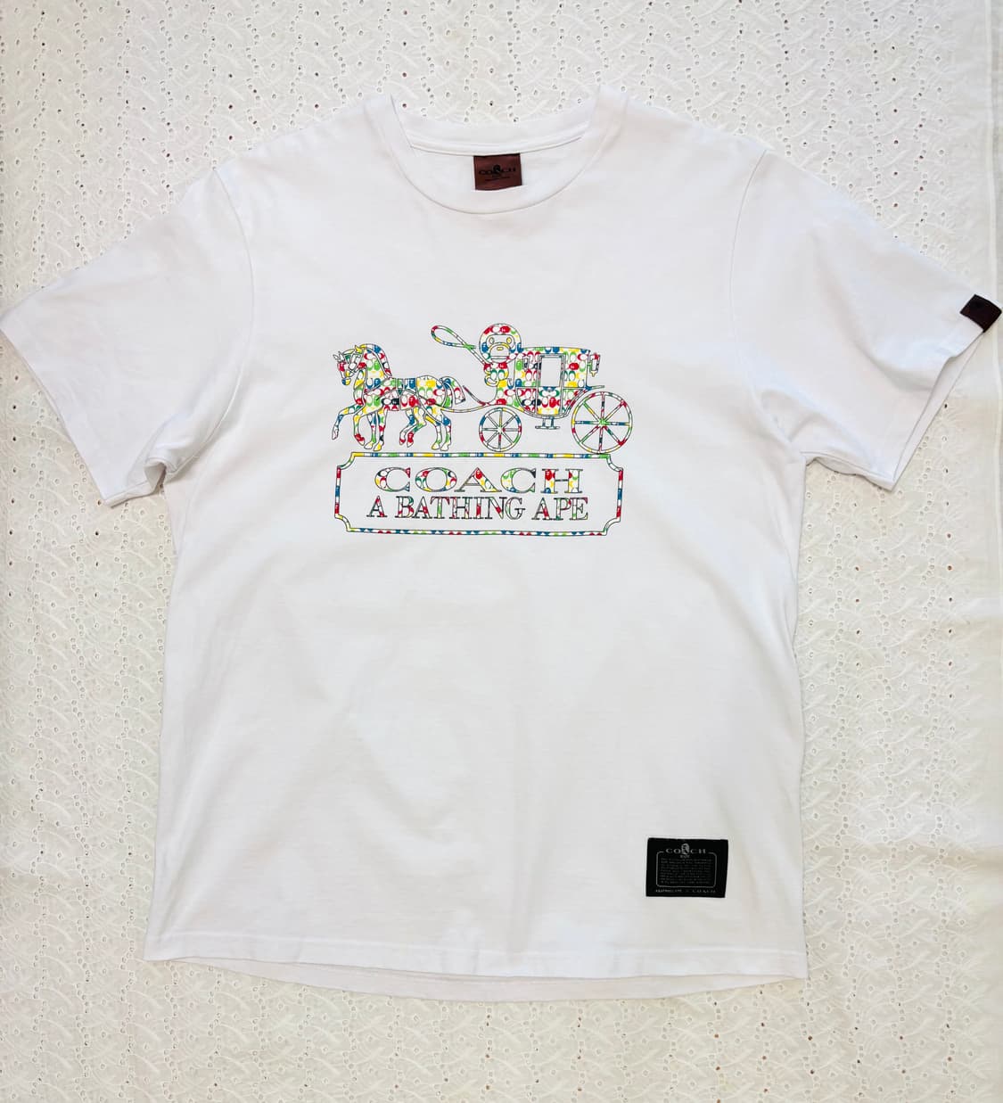 20ss BAPE X COACH 멀티 컬러 마일로 티셔츠 L 상품이미지8