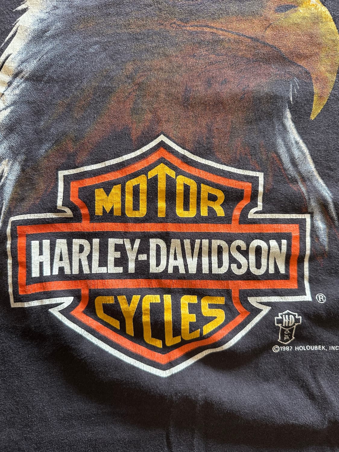 80s  Harley davidson Holoubek Eagle - XL 상품이미지5
