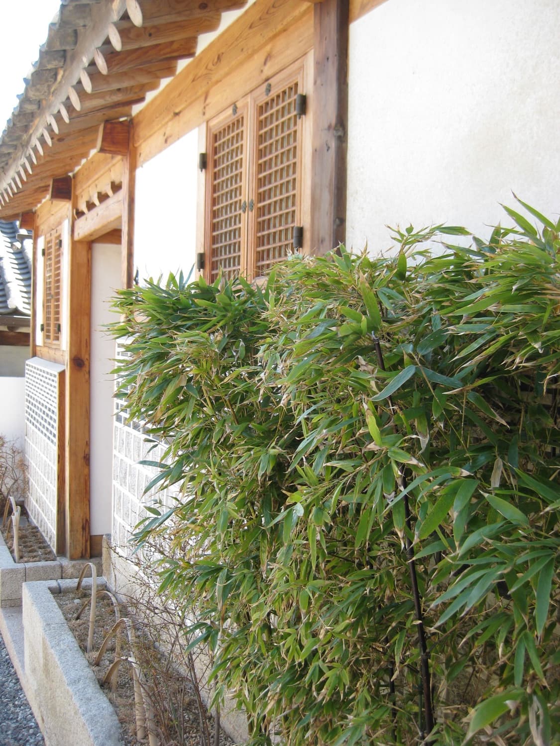 [작례O]캐논 익서스20IS (ixy20is) 브라운 상품이미지9