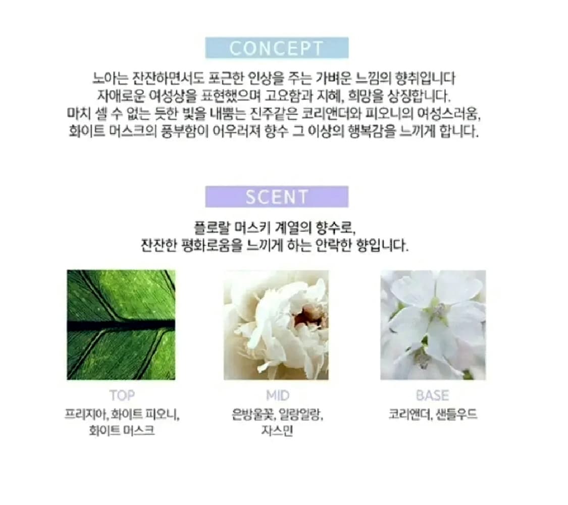 까사렐 노아 EDT 100ml 상품이미지4