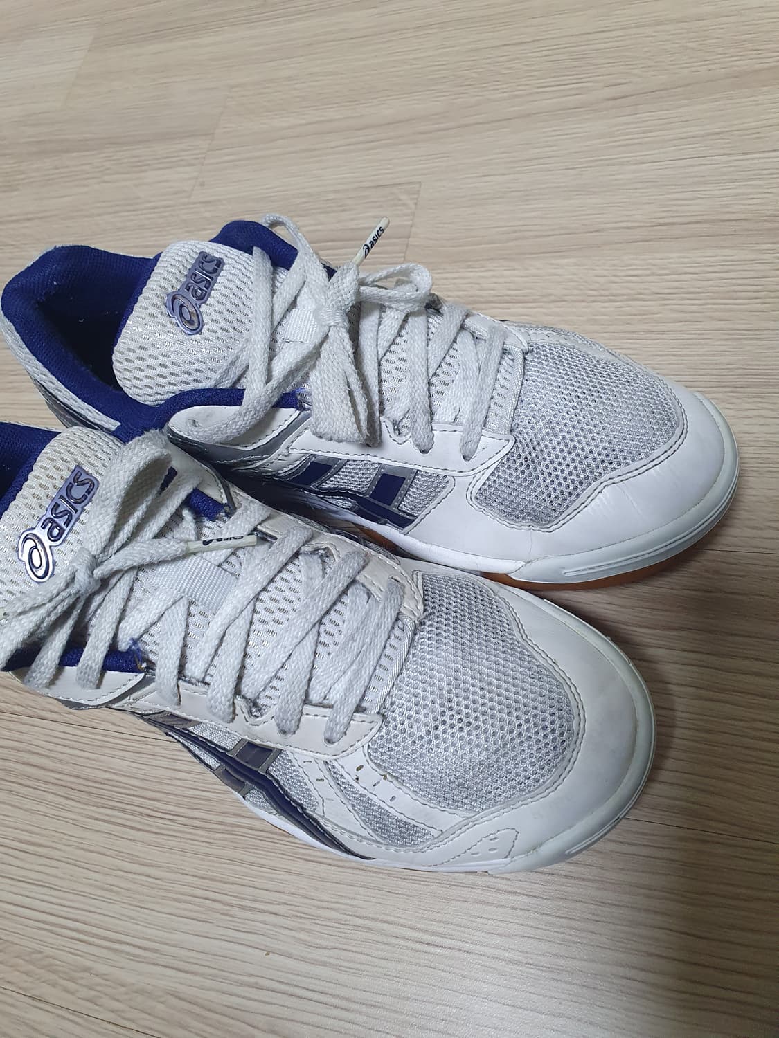 아식스 로테리브레 체대입시화 265 상품이미지7