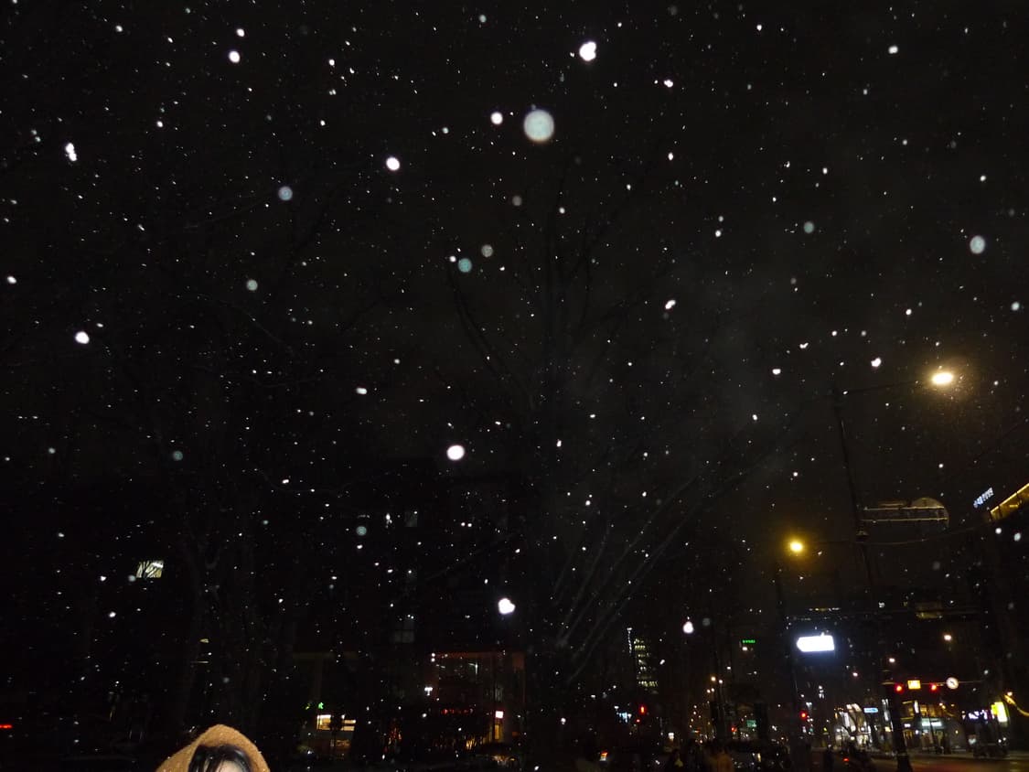 파나소닉 lx3(라이카렌즈)/작례ㅇ 상품이미지4