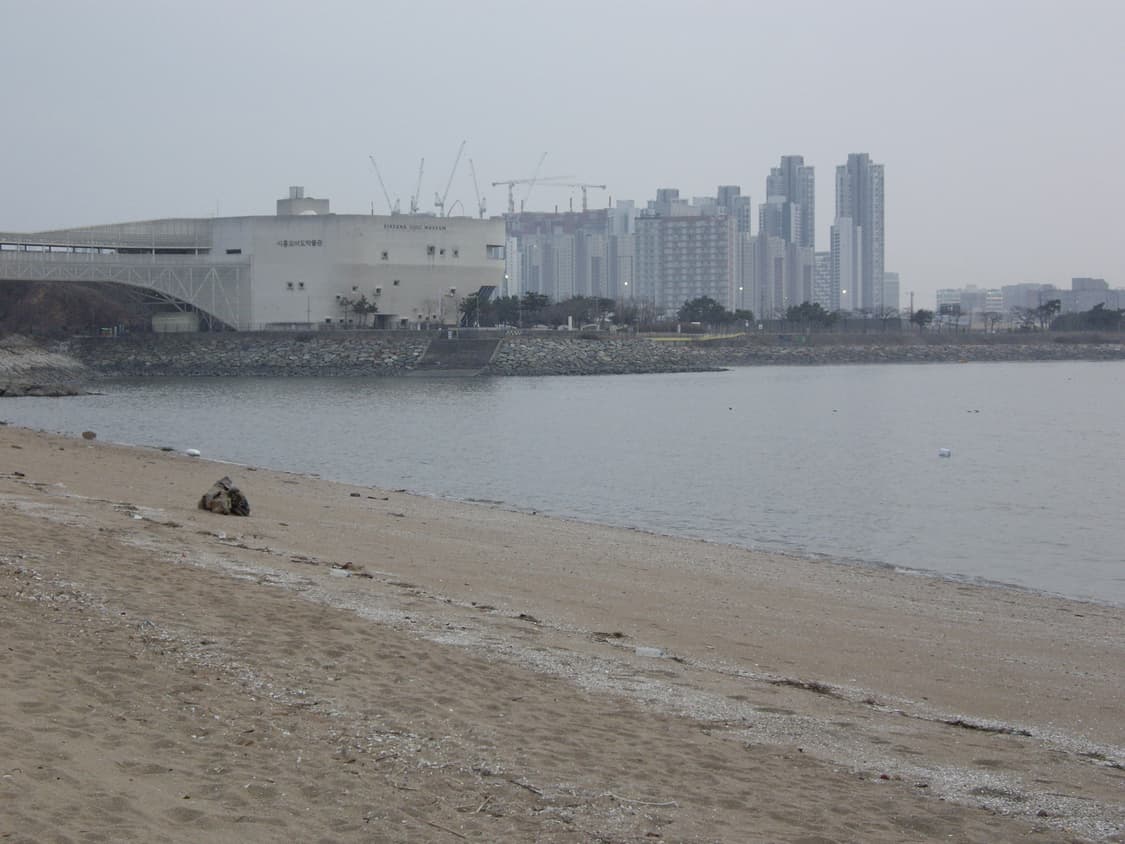 작례O, 아련미…🫧) PENTAX Optio A10 상품이미지6