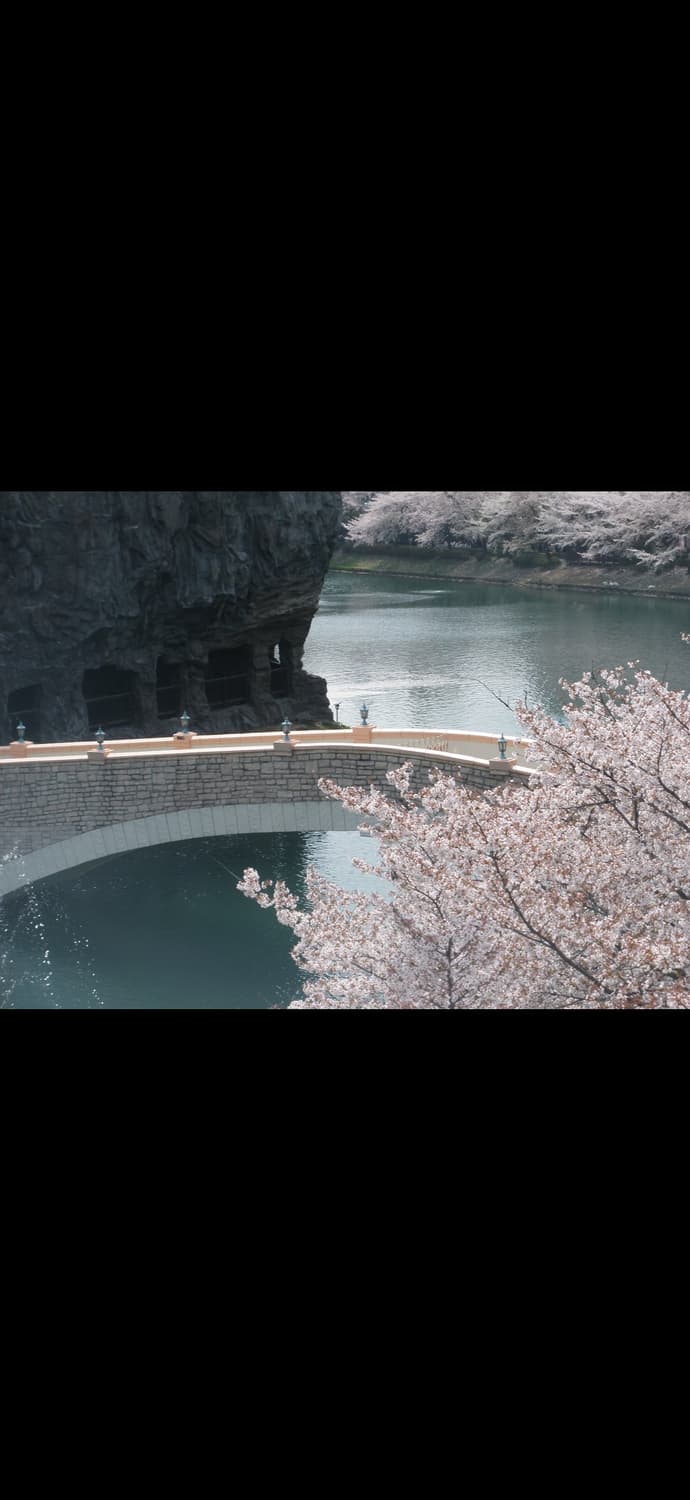 올림푸스 FE-370 핑크  (작례 O) 상품이미지4