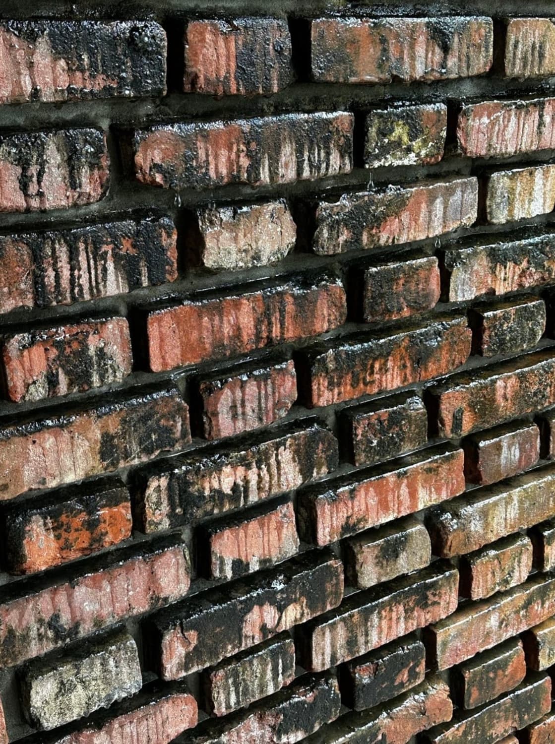 개인결제창 상품이미지1