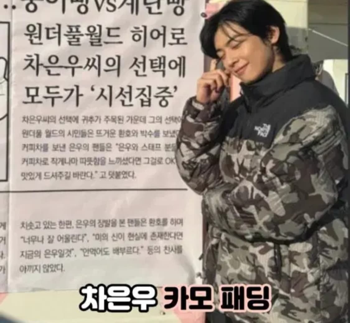 (L,100)노스페이스1996눕시 카모 패딩 상품이미지10