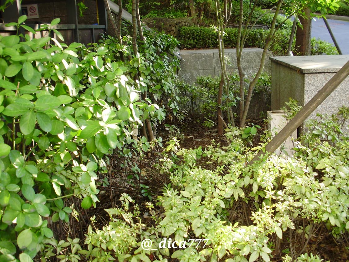 올림푸스 FE-330 디카 풀박스 상품이미지9