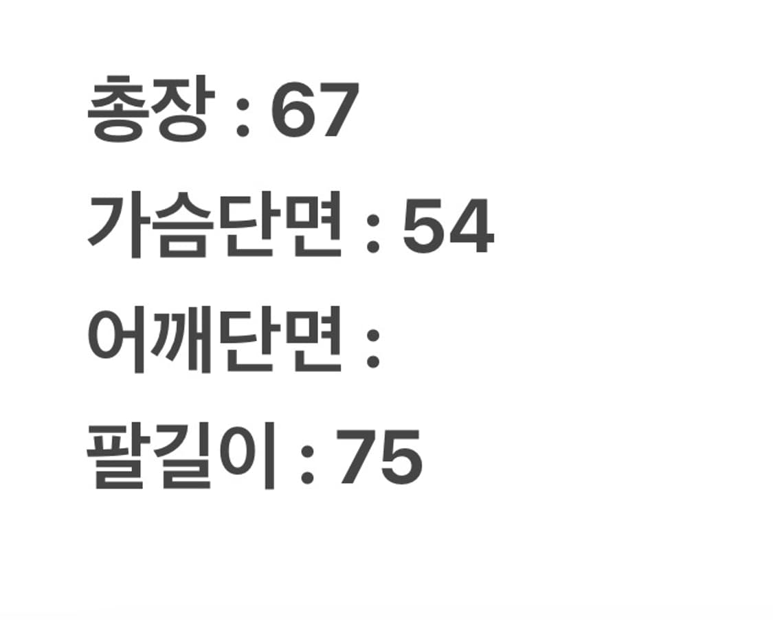 [정품/95] 크리스크리스티 올드스쿨 빈티지 플라워 자수 스카쟌 자켓 상품이미지6