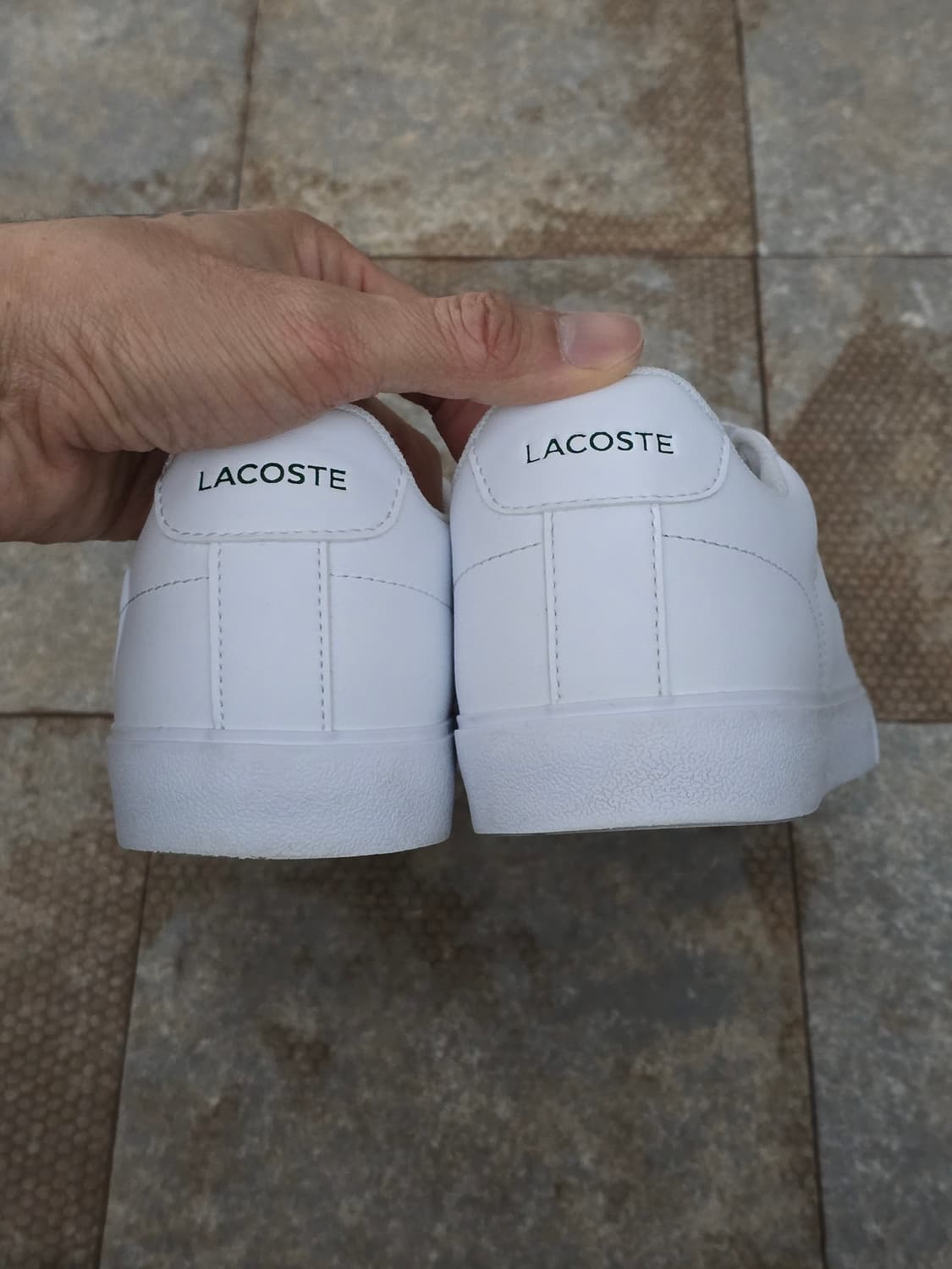 (240)라코스테 르론드 세트 상품이미지8