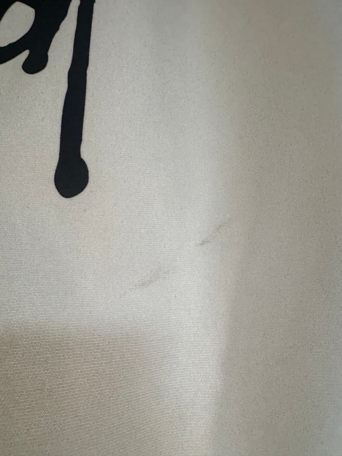 스투시 베이직 후드집업  상품이미지5