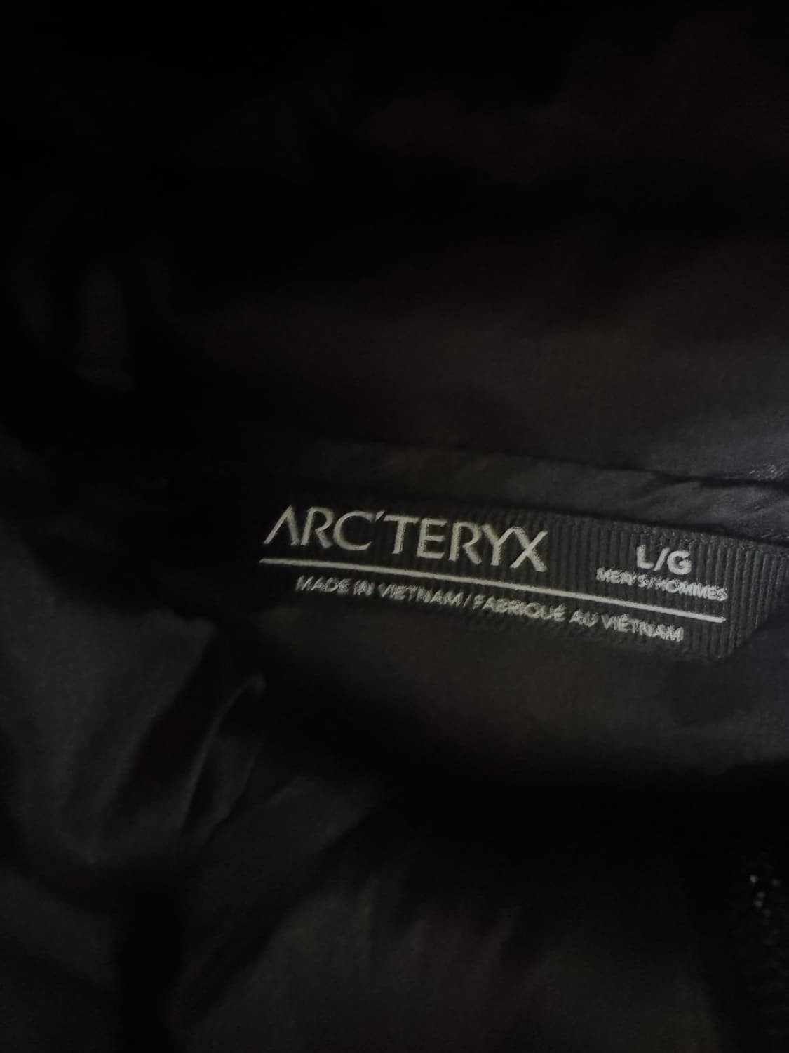 [L] 아크테릭스 세륨 후디 블랙 상품이미지2