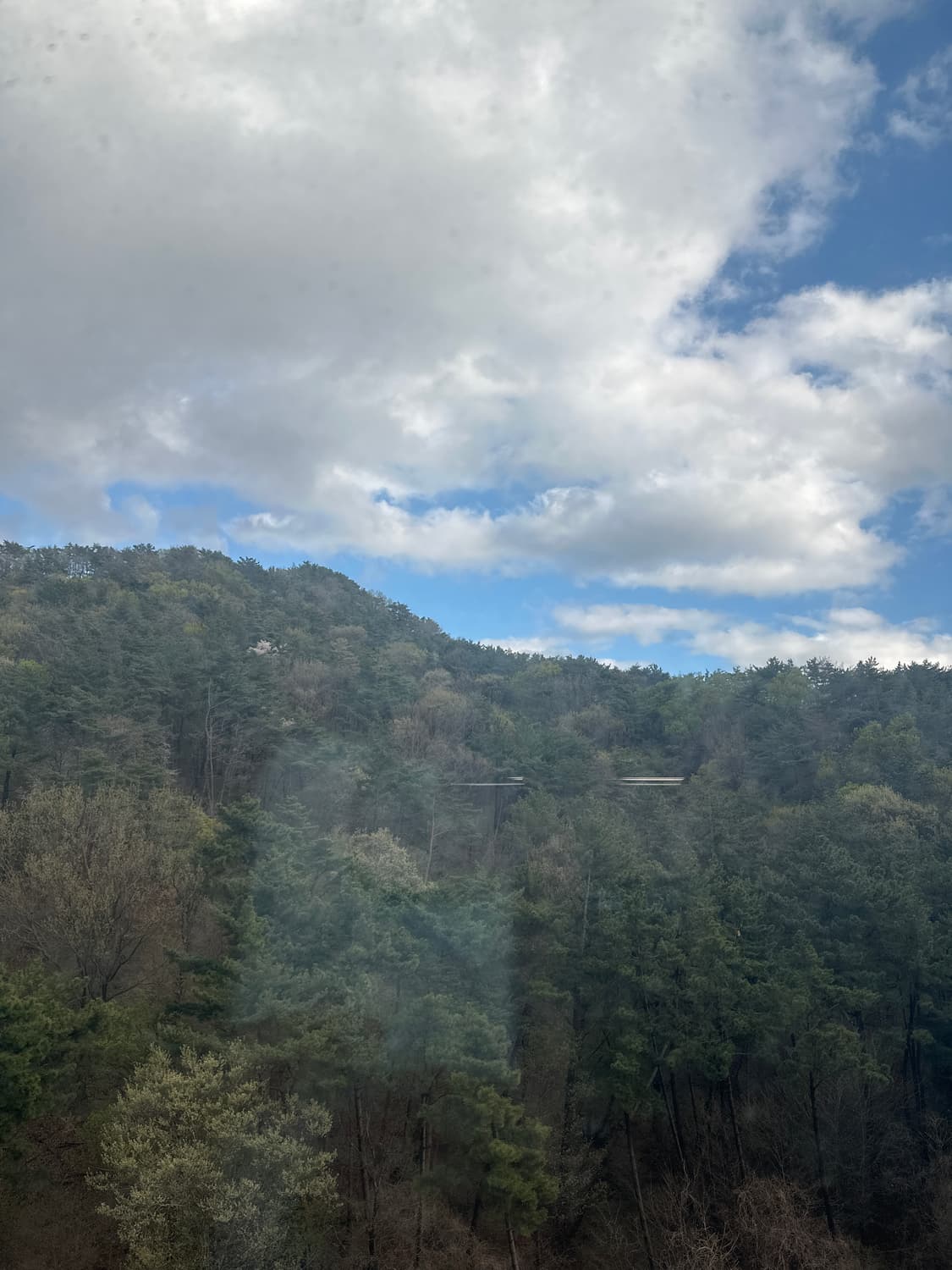 몽벨 예약 그린+네이비 상품이미지1