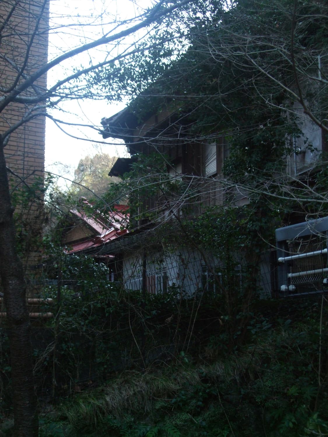 Fujifilm Finepix f50fd 상품이미지10