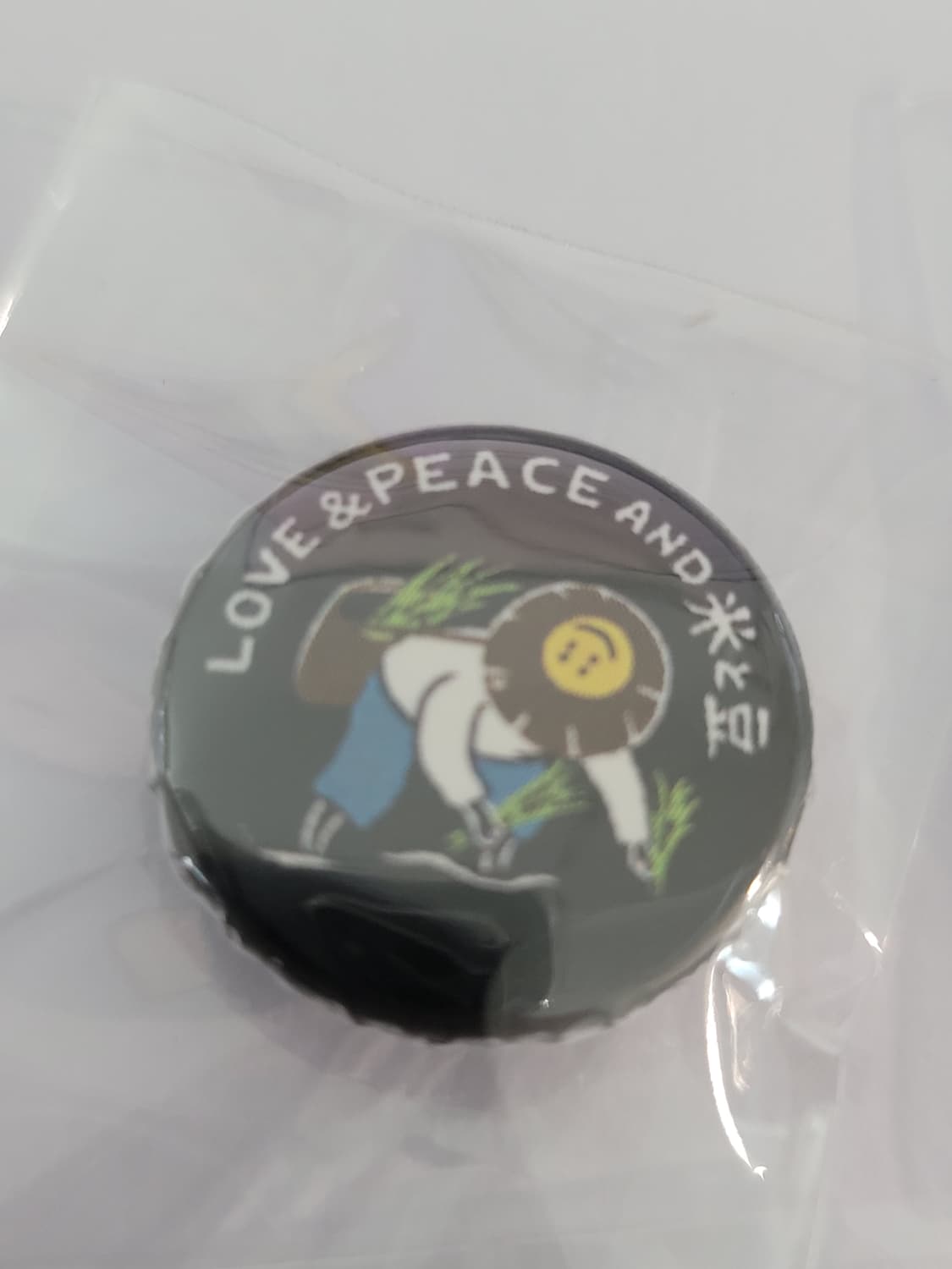 평범한 데님에 생기를, 캐피탈(KAPITAL) 핀 버튼 세트 상품이미지2