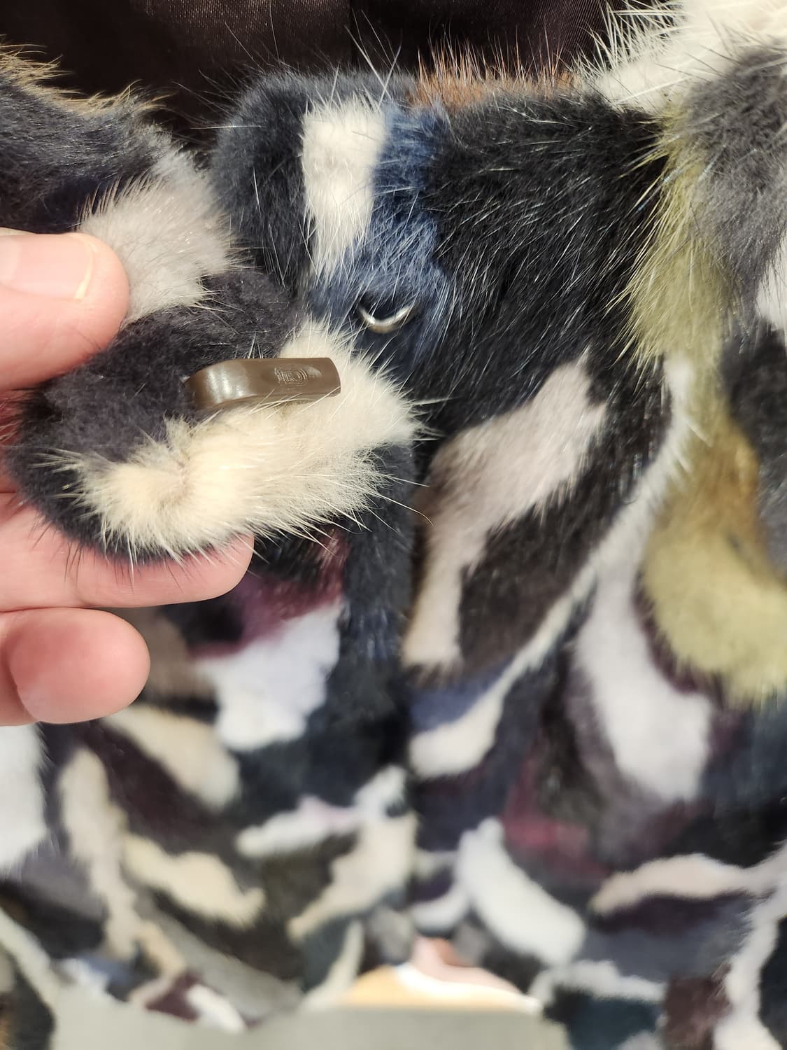 유로컬렉션 천연 밍크 7부자켓 상품이미지3