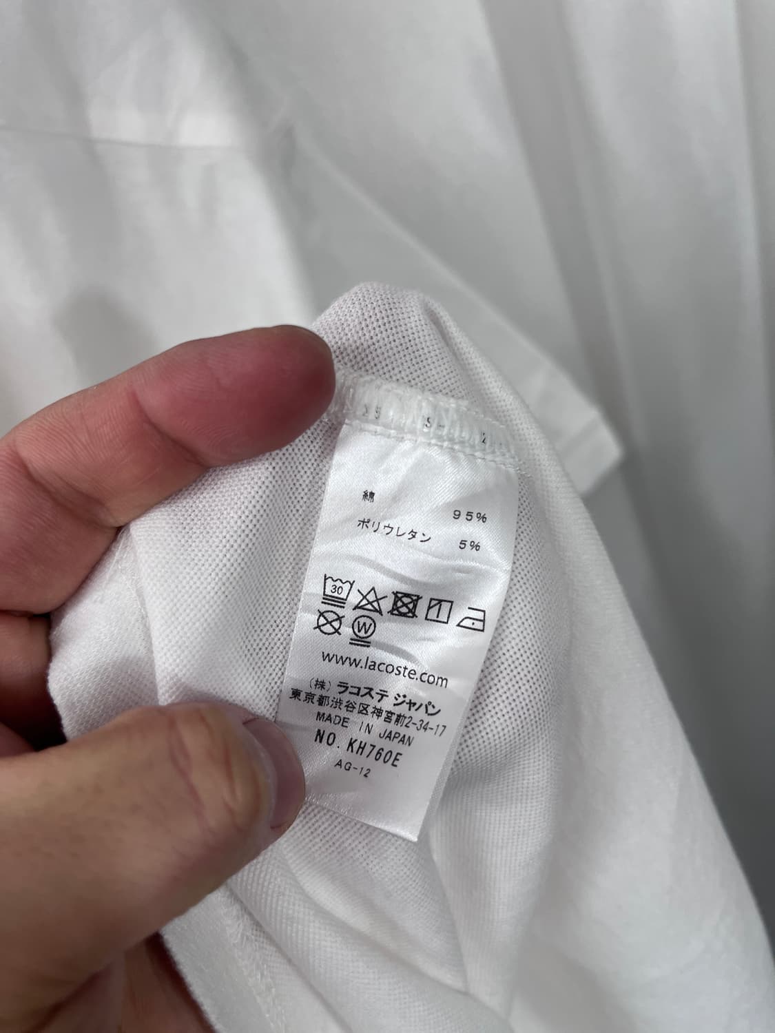 LACOSTE 상품이미지5