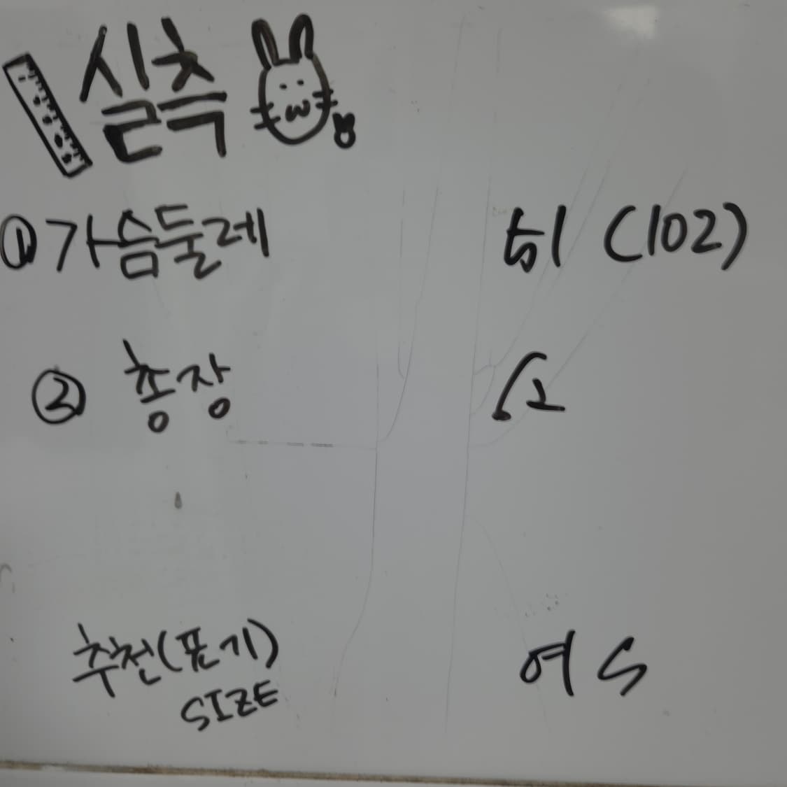 여 S 아디다스 페이즐리 패턴 민트 져지 트랙탑 트레이닝 상품이미지6