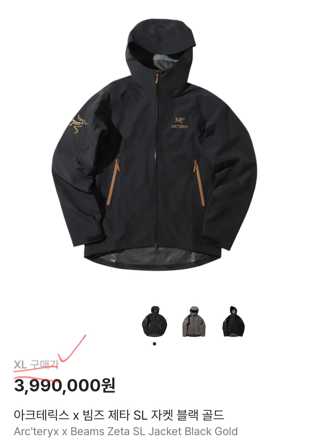 아크테릭스 빔즈 제타 자켓 상품이미지5