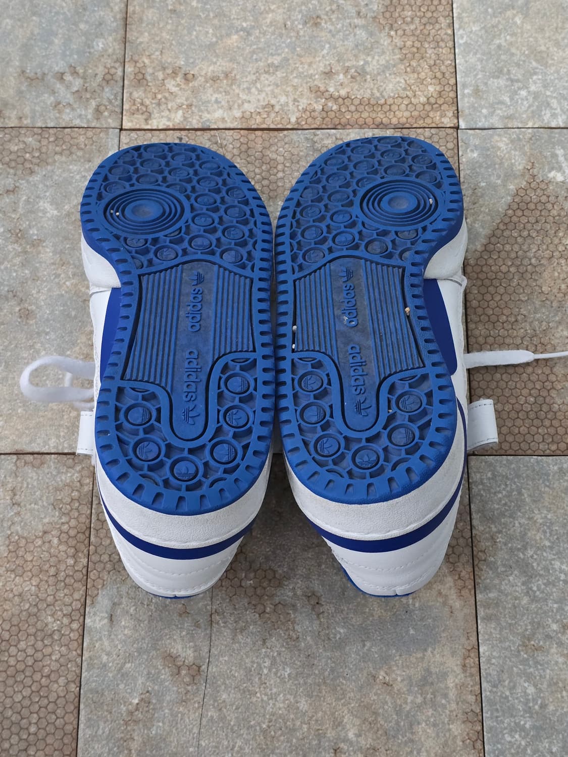 (240)아디다스 포럼 로우 로얄 블루 상품이미지10