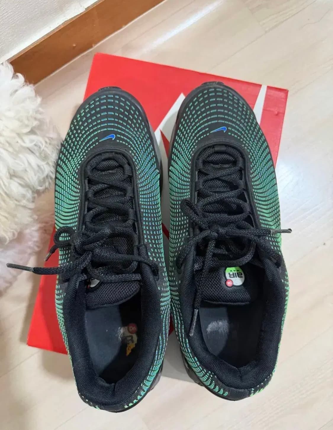 Nike 나이키 에어맥스 dn 블랙 하이퍼 코발트 상품이미지4