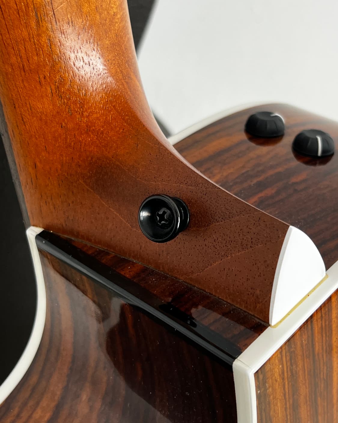 Taylor 214CE SB DLX Acoustic Guitar 상품이미지8