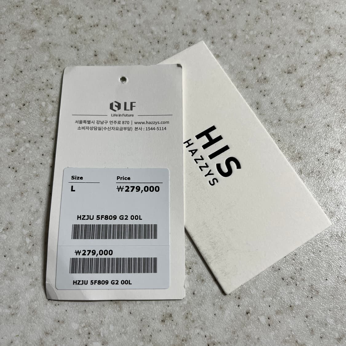 [L] HIS 해지스 25fw 경량 구스 다운 그레이 신상품 hazzys 상품이미지9