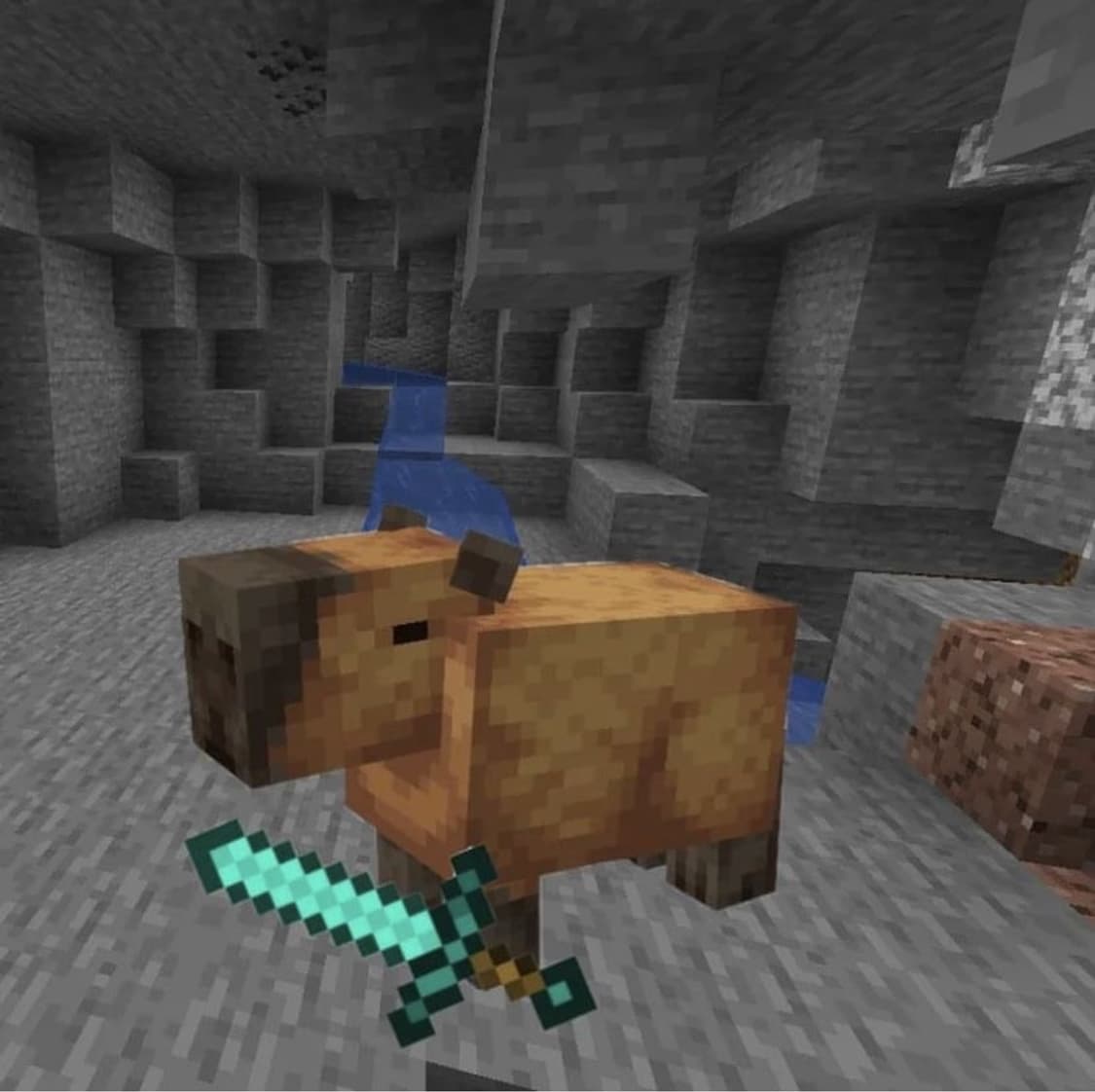 니들스 베이프 일괄 자켓 상품이미지3