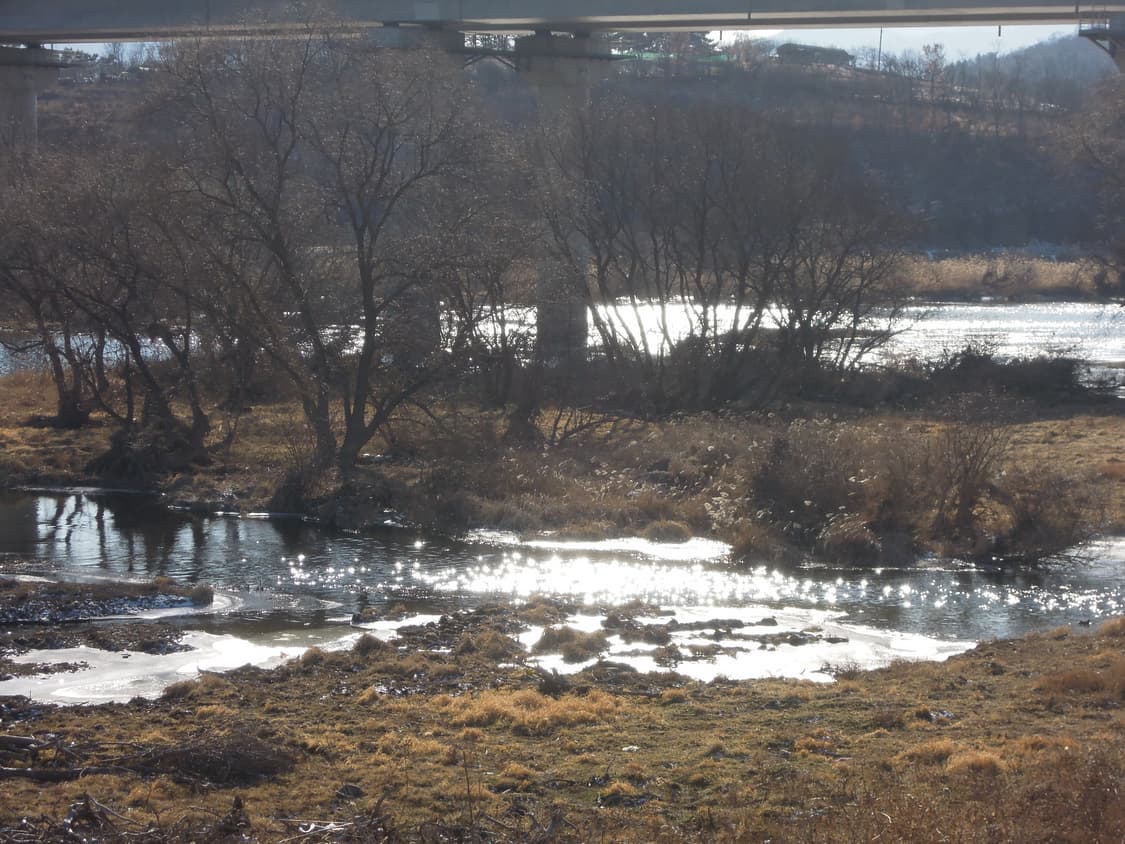 니콘 쿨픽스 p300 상품이미지7