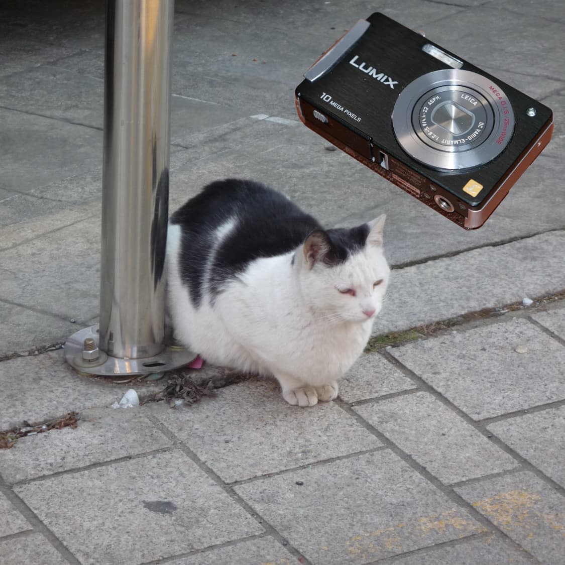 LUMIX DMC-FX500(✨민트급/🎁풀패키지) 상품이미지4